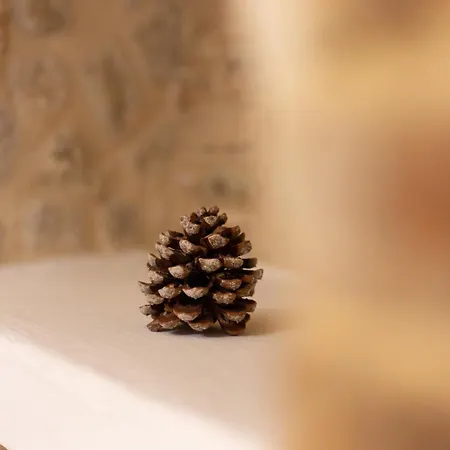 Santo Stefano Casalbordino