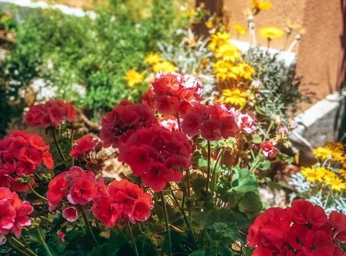 Фермерский дом Santo Stefano Казальбордино